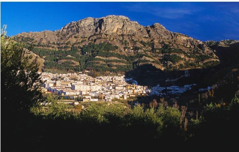 Alojamiento El Recreo กาซอร์ลา ภายนอก รูปภาพ